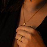 Ring Ravi