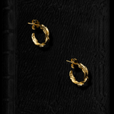 Small Hoop Earrings Noa
