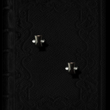 Onyx stud earrings Daya