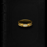 Shell Ring Asa